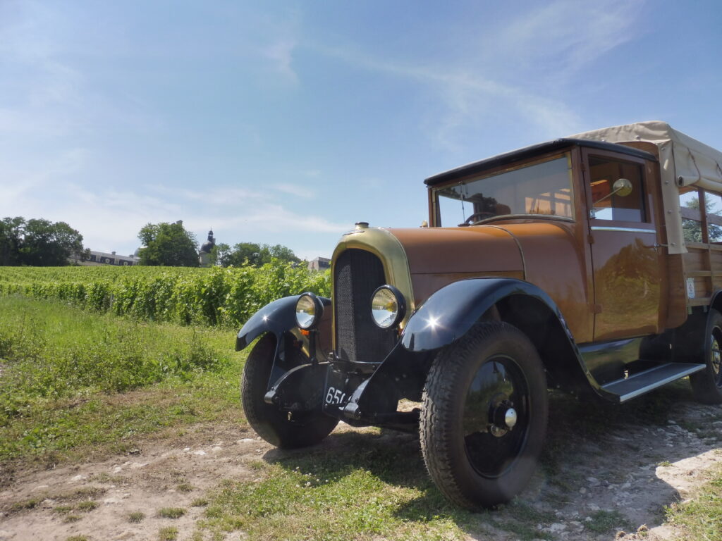 Voiture ancienne aux milieux des vignes sous le soleil